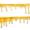 honey flowing, in motion honey trickling down, isolated vector