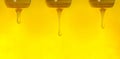 Honey flowing from a wooden honey spoon. Wide format banner Royalty Free Stock Photo