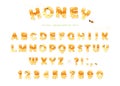 Honey font design. Glossy sweet ABC letters and numbers isolated on white.