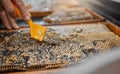 Honey, frame and closeup of scrape tools for bee farming, agriculture or food in beekeeping production. Beekeeper