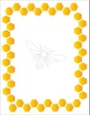 Honey frame with honeybee