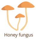 Honey fungus color icon. Growing forest mushroom