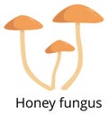 Honey fungus icon. Fresh raw cartoon mushroom