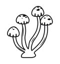 honey fungus icon