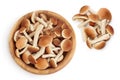 Honey fungus mushrooms in wooden bowl isolated on white background with clipping path and full depth of field. Top view Royalty Free Stock Photo