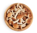 Honey fungus mushrooms in wooden bowl isolated on white background with clipping path and full depth of field. Top view Royalty Free Stock Photo