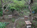 The honey garden