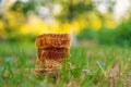 honey in the garden. Selective focus.