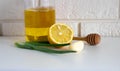 Honey, garlic, aloe, lemon - natural medicine, healthy food Royalty Free Stock Photo