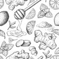 Honey, ginger, lemon and mint vector seamless pattern drawing. W