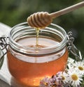 Honey in glass jar with bee flying and flowers on a wooden floor Royalty Free Stock Photo