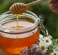 Honey in glass jar with bee flying and flowers on a wooden floor Royalty Free Stock Photo