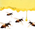 Honey in glass jar with bee flying and flowers on a wooden floor. Royalty Free Stock Photo