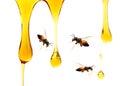 Honey dripping in glass jar and wooden dipper isolated on a white background, concept of bee products. Royalty Free Stock Photo