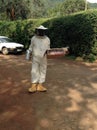 Honey harvesting