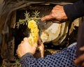 Honey harvesting in rural Sichuan China Royalty Free Stock Photo