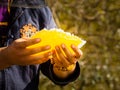 Honey harvesting in rural Sichuan China Royalty Free Stock Photo