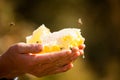 Honey harvesting in rural Sichuan China Royalty Free Stock Photo