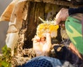 Honey harvesting in rural Sichuan China Royalty Free Stock Photo