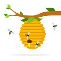 Honey hive with bees hanging on a branch flat isolated