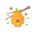 Honey hive with bees hanging on a branch. Isolated illustration for honey label, products, package design