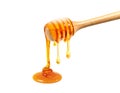 Honey and honey comb with wooden stick Royalty Free Stock Photo