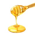 Honey with honey dipper closeup isolated on white background, watercolor