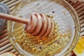 Honey and honey spoon immersed in honey Royalty Free Stock Photo