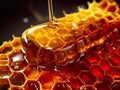 honey and honeycomb in this closeup view that celebrates the beauty of nature\'s sweet creation.