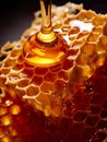 honey and honeycomb in this closeup view that celebrates the beauty of nature\'s sweet creation.