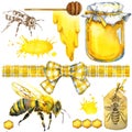 Honey, honeycomb, honey bee. Set for design label products from honey. Watercolor illustration