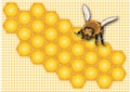 Honey, honeycomb,honey label,honey jar label,summer, insect,yellow bee, sweet, honey background,