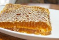 Honey in honeycomb in white plate
