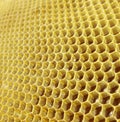 Honey in honeycombs