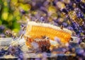 The honey in honeycombs and lavender on a wooden table close up Royalty Free Stock Photo