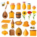 Honey icon set, cartoon style