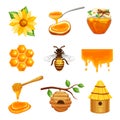Honey Isolated Icon Set