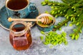 Honey, jam from green spruce shoots