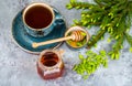 Honey, jam from green spruce shoots Royalty Free Stock Photo