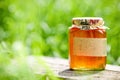 Honey jar Royalty Free Stock Photo