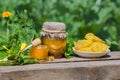 Honey in jar with honey dipper at the nature background