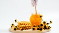 Honey jar. Dips wooden stick to glass bowl with liquid floral fresh honey