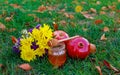 Honey and fresh apples with pomegranate over green bokeh background Royalty Free Stock Photo