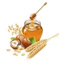 Honey jar, hazelnuts, rolled oats, wheat and oat ears isolated on white background. Top view Royalty Free Stock Photo