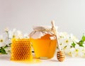 Honey in a jar, honeycombs and flowers on a white background Royalty Free Stock Photo