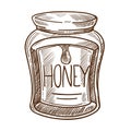 Honey in jar organic food isolated sketch beekeeping