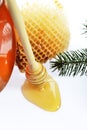 Honey jar Royalty Free Stock Photo