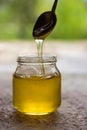 Honey in jar and window with green on backcground Royalty Free Stock Photo