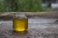 Honey in jar and window with green on backcground Royalty Free Stock Photo