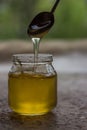 Honey in jar and window with green on backcground Royalty Free Stock Photo